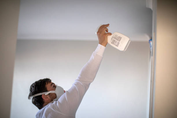 Best Health and Safety Mold Remediation in Mangonia Park, FL