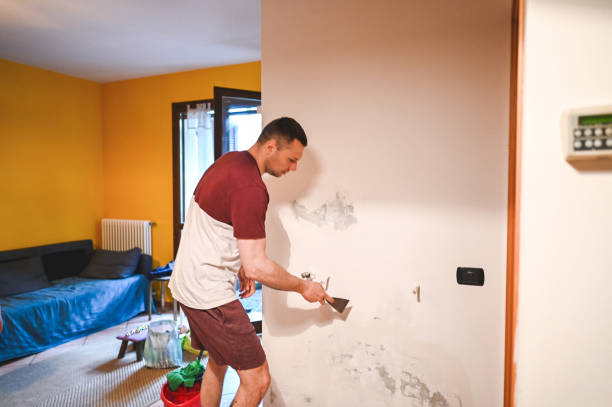 Best Emergency Mold Remediation in Mangonia Park, FL
